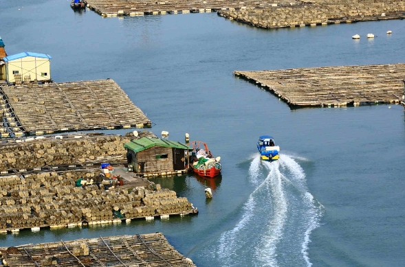 天津貨代行業(yè)在發(fā)展過程中，逐漸形成了獨(dú)特的服務(wù)特色和優(yōu)勢