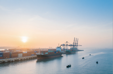 服裝進口有高招，國際海運貨代來助力